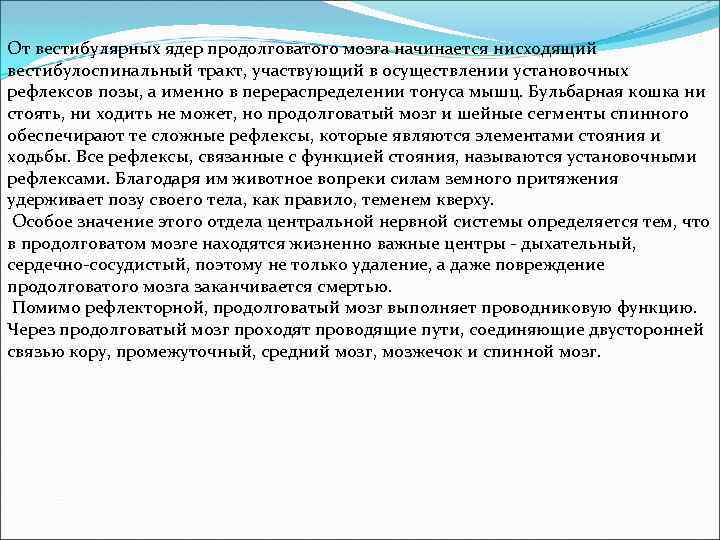 От вестибулярных ядер продолговатого мозга начинается нисходящий вестибулоспинальный тракт, участвующий в осуществлении установочных рефлексов