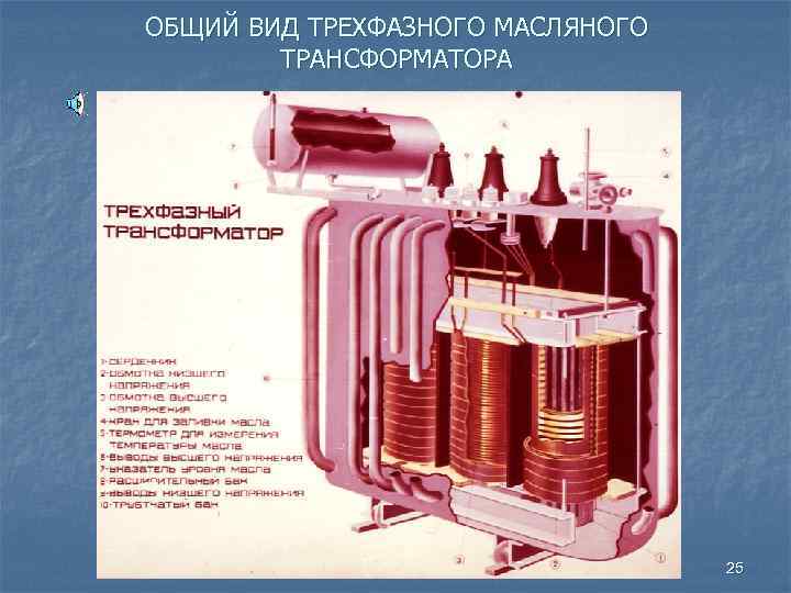 ОБЩИЙ ВИД ТРЕХФАЗНОГО МАСЛЯНОГО ТРАНСФОРМАТОРА 25 