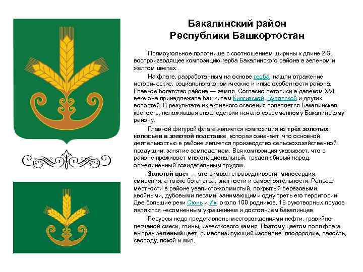 Бакалинский район Республики Башкортостан Прямоугольное полотнище с соотношением ширины к длине 2: 3, воспроизводящее