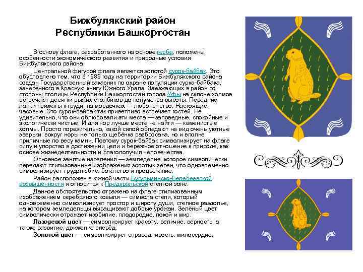 Бижбулякский район Республики Башкортостан В основу флага, разработанного на основе герба, положены особенности экономического