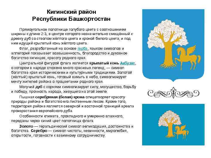 Кигинский район Республики Башкортостан Прямоугольное полотнище голубого цвета с соотношением ширины к длине 2: