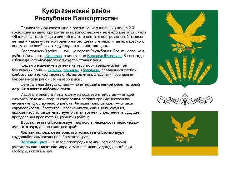 Куюргазинский район Республики Башкортостан Прямоугольное полотнище с соотношением ширины к длине 2: 3, состоящее