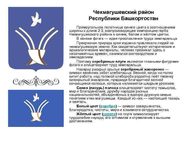 Чекмагушевский район Республики Башкортостан Прямоугольное полотнище синего цвета с соотношением ширины к длине 2: