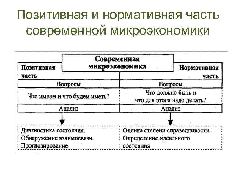 Позитивная и нормативная часть современной микроэкономики 
