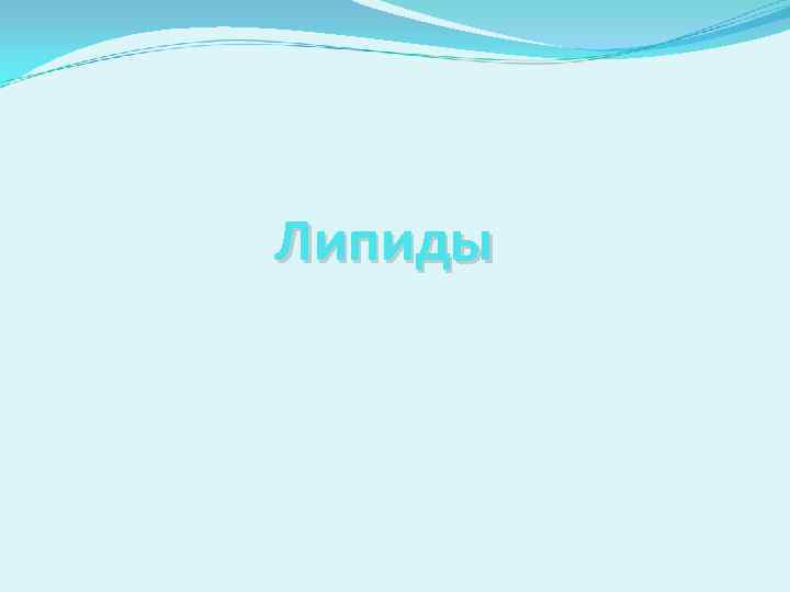 Липиды 