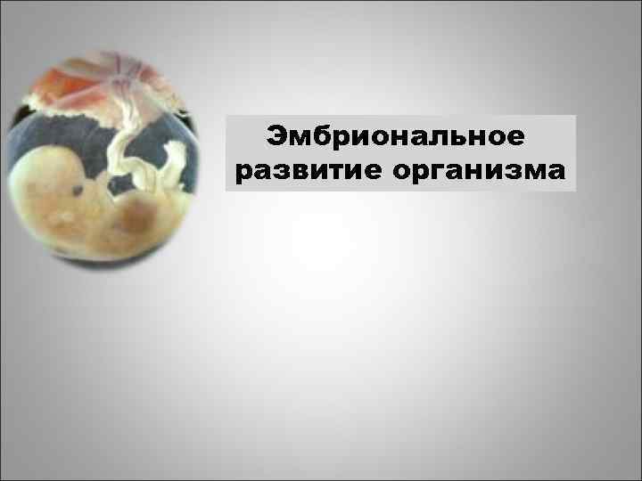 Эмбриональное развитие организма 