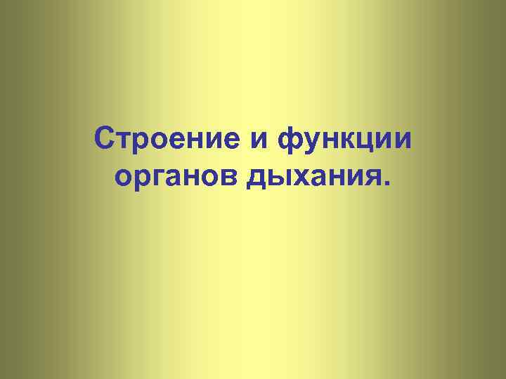 Строение и функции органов дыхания. 
