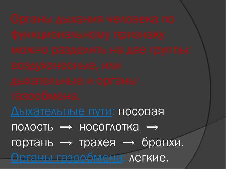 Органы дыхания человека по функциональному признаку можно разделить на две группы: воздухоносные, или дыхательные