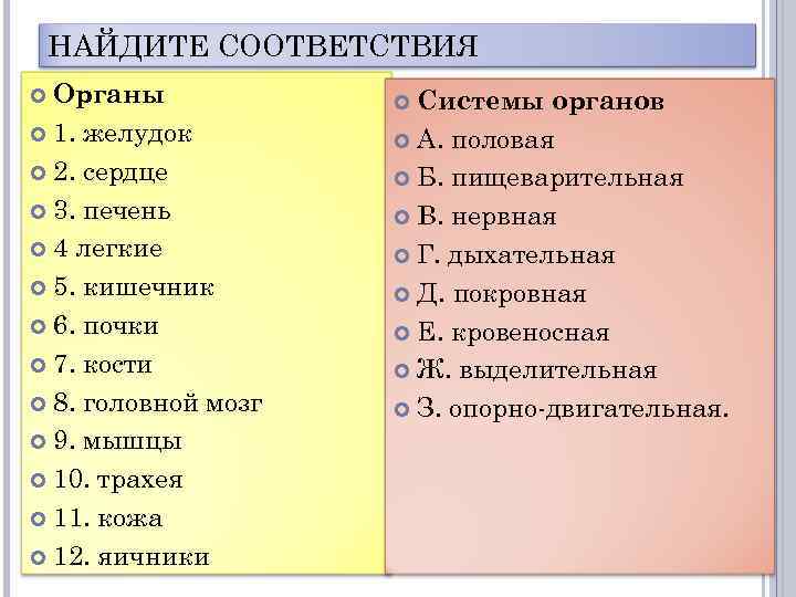 НАЙДИТЕ СООТВЕТСТВИЯ Органы 1. желудок 2. сердце 3. печень 4 легкие 5. кишечник 6.