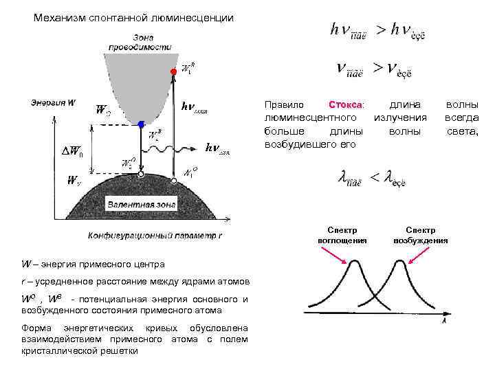 Механизм спонтанной люминесценции Правило Стокса: Стокса люминесцентного больше длины возбудившего Спектр поглощения W –