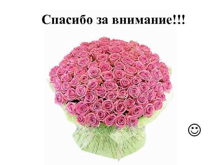Спасибо за внимание!!! 