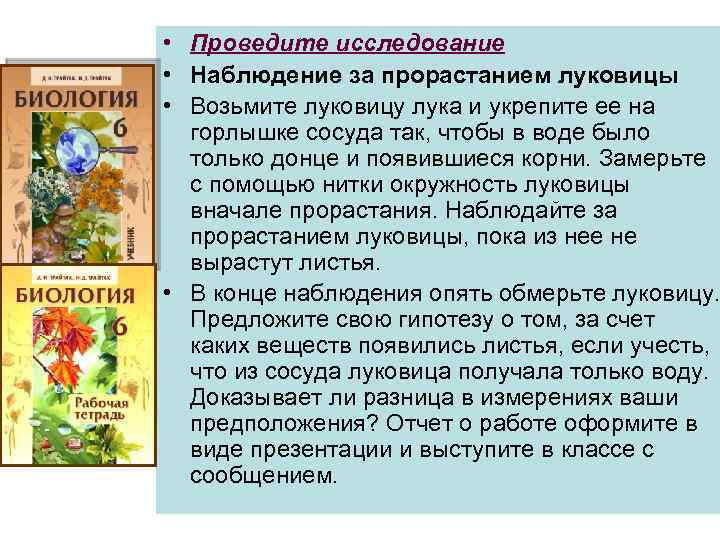  • Проведите исследование • Наблюдение за прорастанием луковицы • Возьмите луковицу лука и