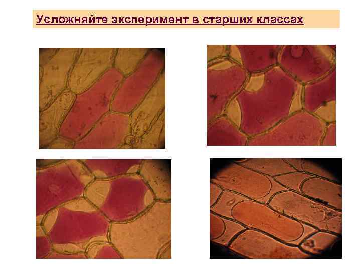 Усложняйте эксперимент в старших классах 