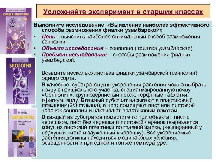 Усложняйте эксперимент в старших классах Выполните исследование «Выявление наиболее эффективного способа размножения фиалки узамбарской»