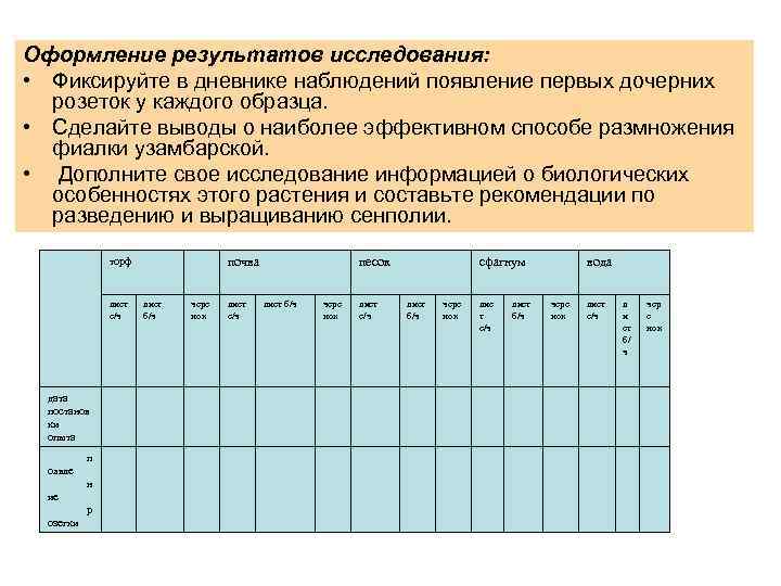 Оформление результатов исследования: • Фиксируйте в дневнике наблюдений появление первых дочерних розеток у каждого
