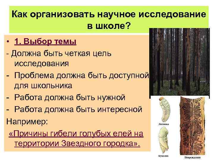 Как организовать научное исследование в школе? • 1. Выбор темы - Должна быть четкая