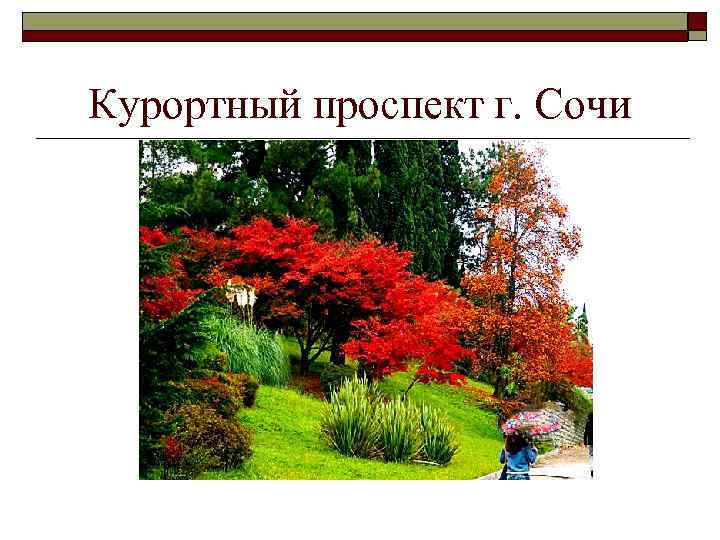 Курортный проспект г. Сочи 