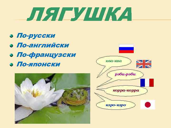 ЛЯГУШКА По-русски По-английски По-французски По-японски ква-ква рэби-рэби корра-корра кэро-кэро 