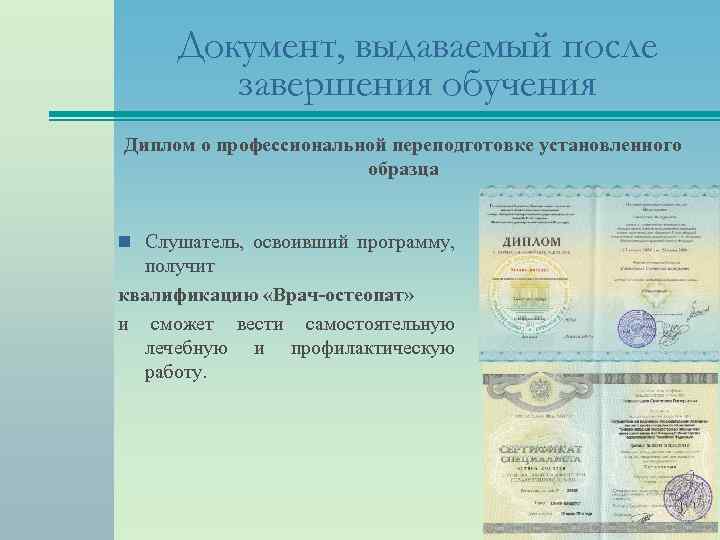 Документ установленного образца об образовании что это