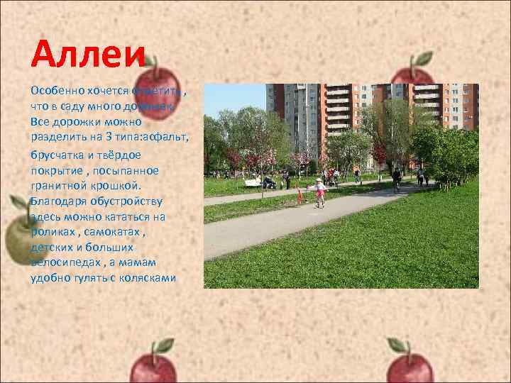 Аллеи Особенно хочется отметить , что в саду много дорожек. Все дорожки можно разделить