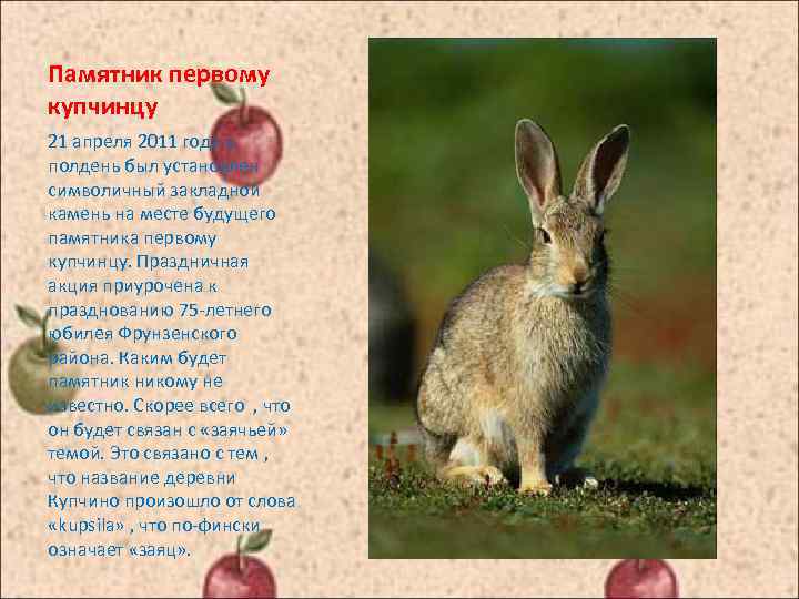 Памятник первому купчинцу 21 апреля 2011 года в полдень был установлен символичный закладной камень