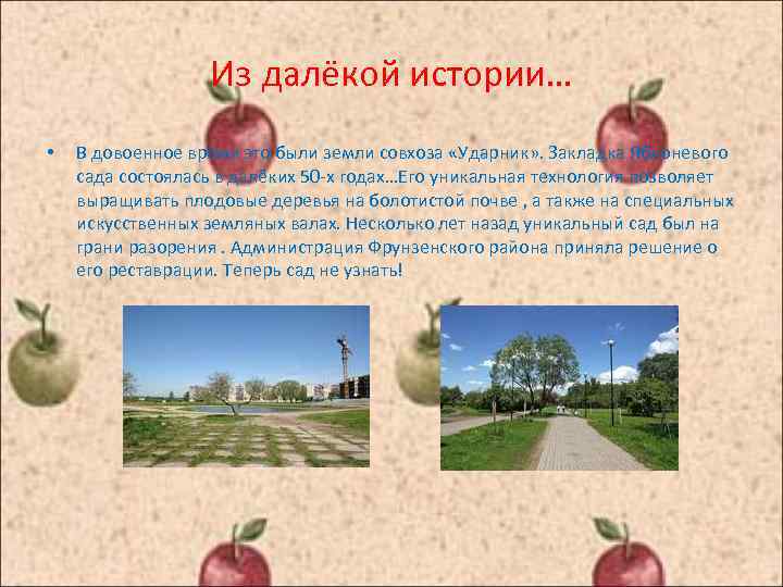 Из далёкой истории… • В довоенное время это были земли совхоза «Ударник» . Закладка