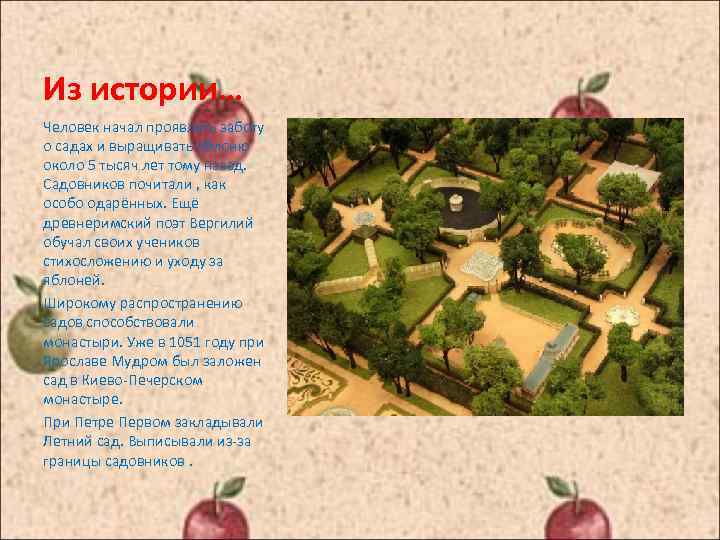 Из истории… Человек начал проявлять заботу о садах и выращивать яблоню около 5 тысяч