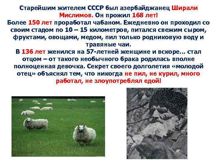 Старейшим жителем СССР был азербайджанец Ширали Мислимов. Он прожил 168 лет! Более 150 лет
