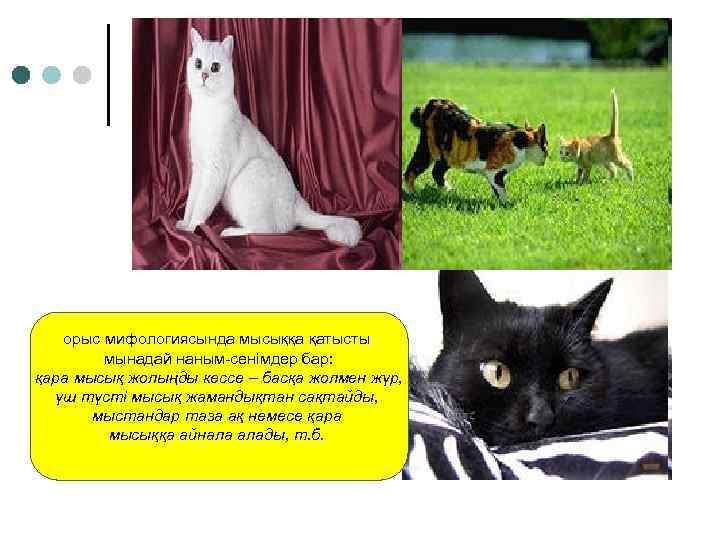 орыс мифологиясында мысыққа қатысты мынадай наным-сенімдер бар: қара мысық жолыңды кессе – басқа жолмен