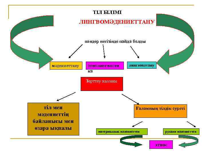 ТІЛ БІЛІМІ ЛИНГВОМӘДЕНИЕТТАНУ пәндер негізінде пайда болды мәдениеттану этнолингвисти ка лингвоелтану Зерттеу нысаны тіл