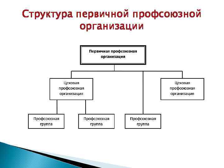 Руководящий орган профсоюзной организации. Структура первичной профсоюзной организации. Схема первичной профсоюзной организации. Структура профсоюзного комитета предприятия. Структура профсоюза схема.