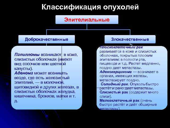 Классификация опухолей Эпителиальные Доброкачественные Злокачественные Папилломы возникают в коже, слизистых оболочках (имеют вид сосочков