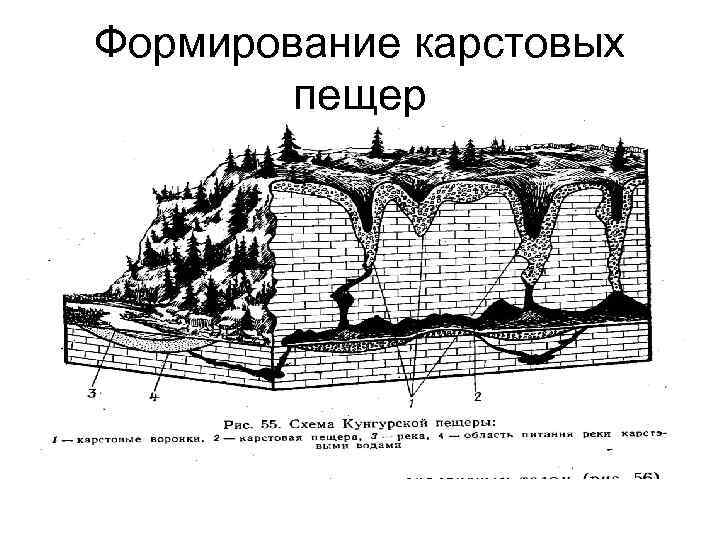 Формирование карстовых пещер 