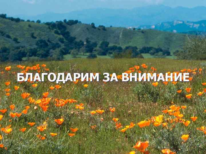 БЛАГОДАРИМ ЗА ВНИМАНИЕ 