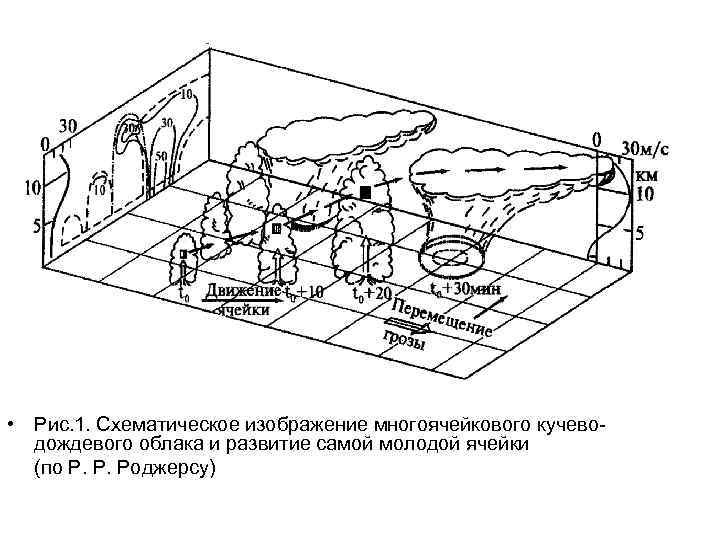  • Рис. 1. Схематическое изображение многоячейкового кучеводождевого облака и развитие самой молодой ячейки