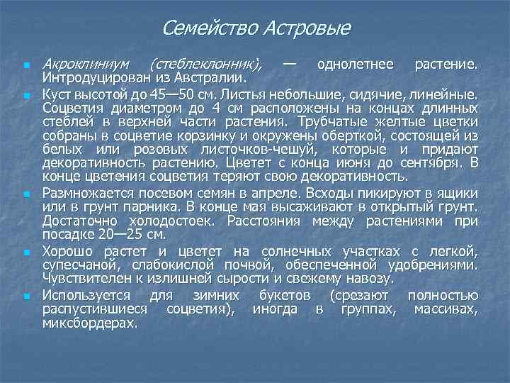 Семейство Астровые n n n Акроклиниум (стеблеклонник), — однолетнее растение. Интродуцирован из Австралии. Куст