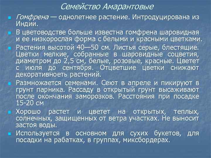 Семейство Амарантовые n n n Гомфрена — однолетнее растение. Интродуцирована из Индии. В цветоводстве
