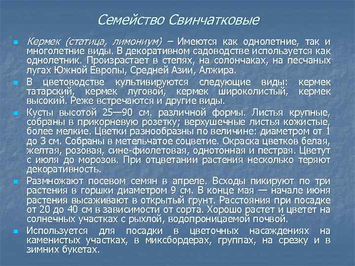 Семейство Свинчатковые n n n Кермек (статица, лимониум) – Имеются как однолетние, так и