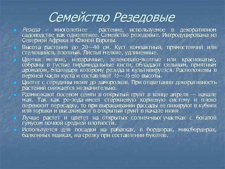 Семейство Резедовые n n n n Резеда – многолетнее растение, используемое в декоративном садоводстве