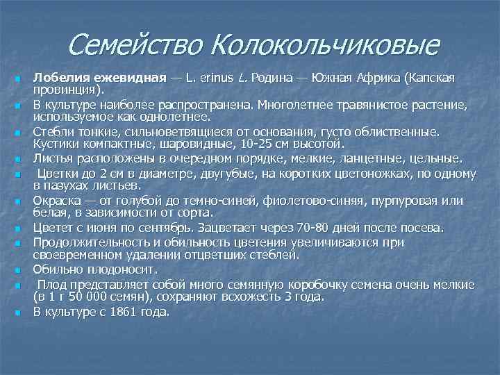 Семейство Колокольчиковые n n n Лобелия ежевидная — L. erinus L. Родина — Южная