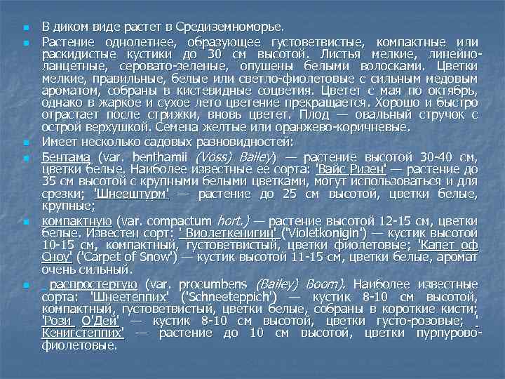 n n n В диком виде растет в Средиземноморье. Растение однолетнее, образующее густоветвистые, компактные