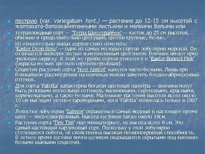 n n n n пеструю (var. variegatum hort. ) — растение до 12 15