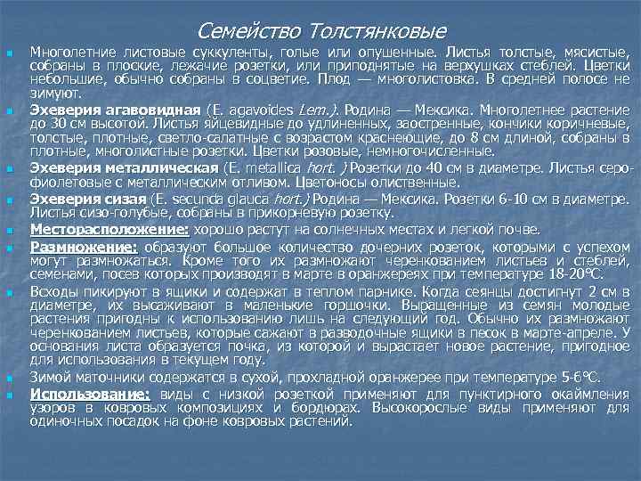 Семейство Толстянковые n n n n n Многолетние листовые суккуленты, голые или опушенные. Листья