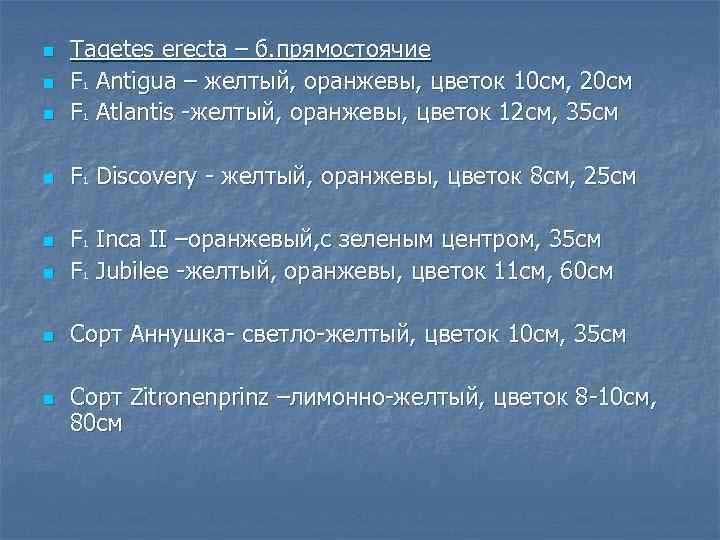 n Tagetes erecta – б. прямостоячие F 1 Antigua – желтый, оранжевы, цветок 10