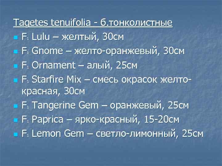 Tagetes tenuifolia б. тонколистные n F Lulu – желтый, 30 см n F Gnome