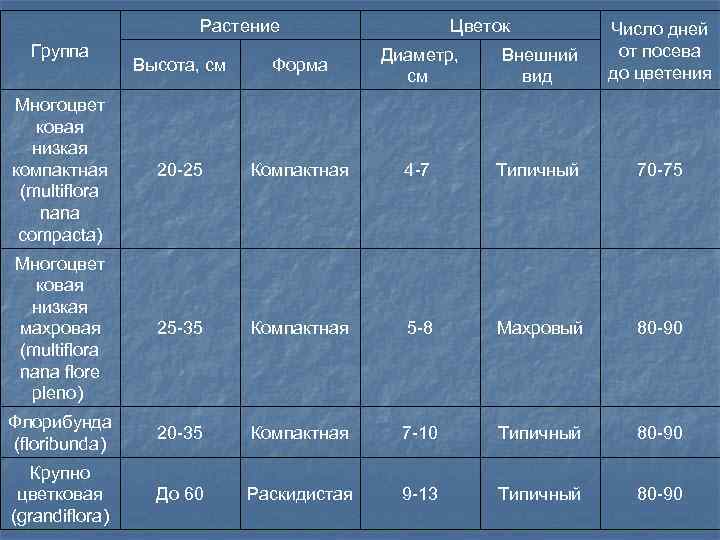 Растение Цветок Высота, см Форма Диаметр, см Внешний вид Число дней от посева до