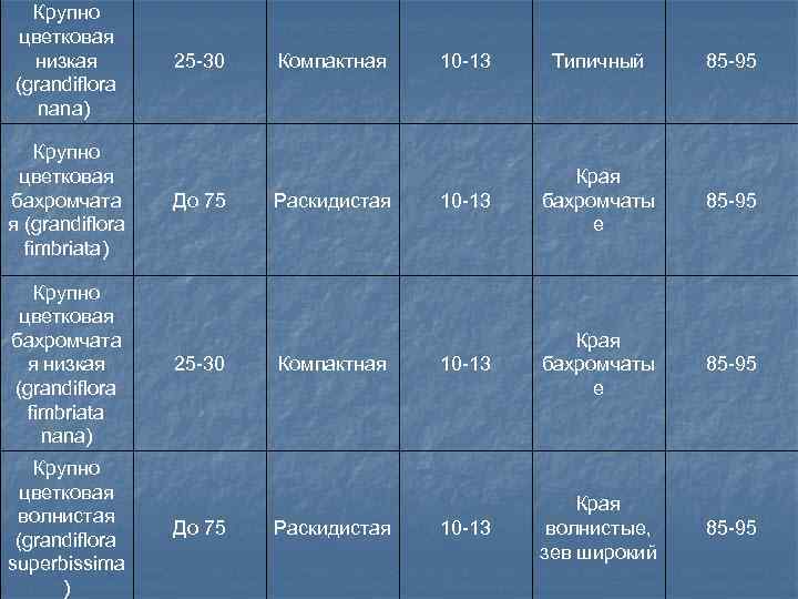Крупно цветковая низкая (grandiflora nana) Крупно цветковая бахромчата я (grandiflora fimbriata) Крупно цветковая бахромчата