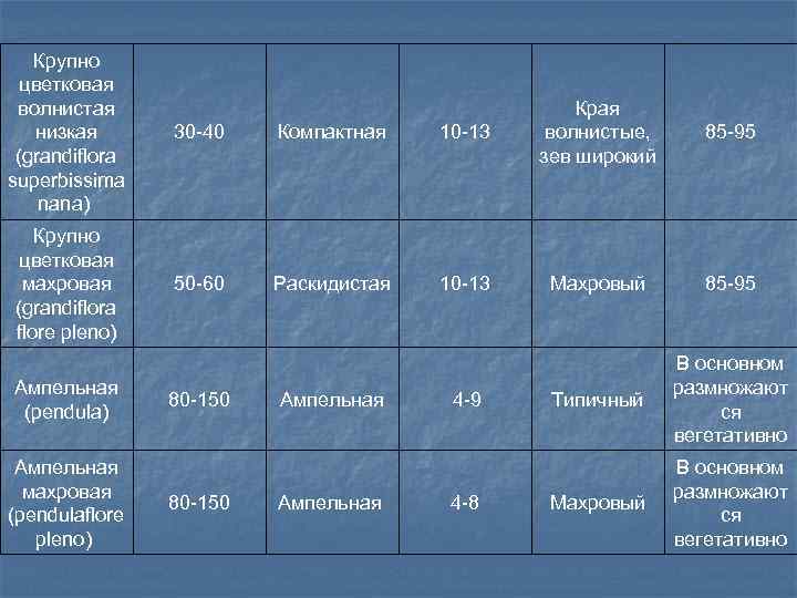 Крупно цветковая волнистая низкая (grandiflora superbissima nana) 30 -40 Компактная Крупно цветковая махровая (grandiflora