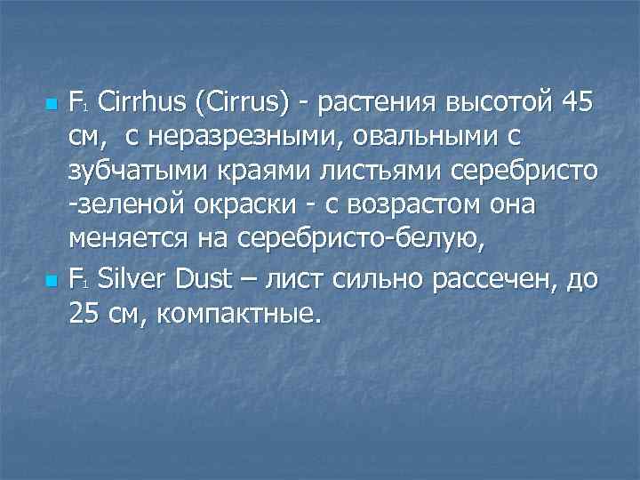n n F Cirrhus (Cirrus) растения высотой 45 см, с неразрезными, овальными с зубчатыми
