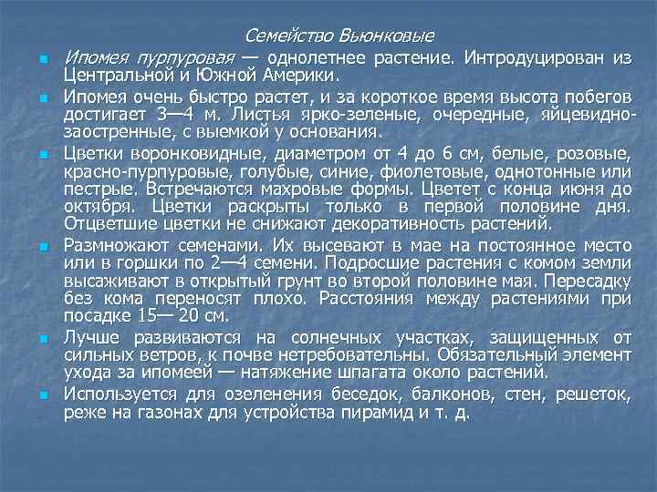 Семейство Вьюнковые n n n Ипомея пурпуровая — однолетнее растение. Интродуцирован из Центральной и